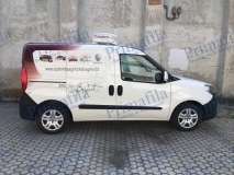 automezzi decorazione parziale wrapping torino car