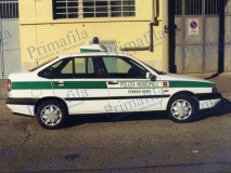 automezzi decorazione parziale wrapping torino car
