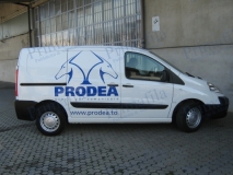 automezzi decorazione parziale wrapping torino car